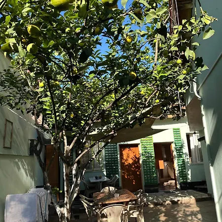 Albergue Lemon Breeze