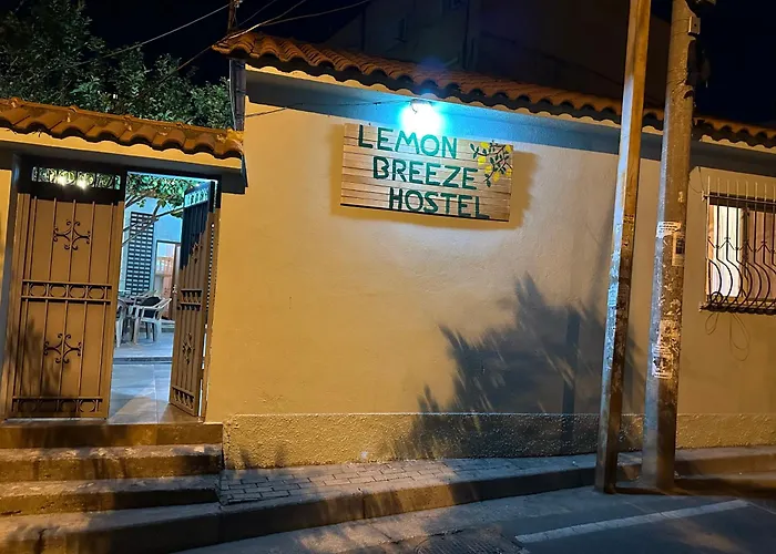 بيت شباب Lemon Breeze