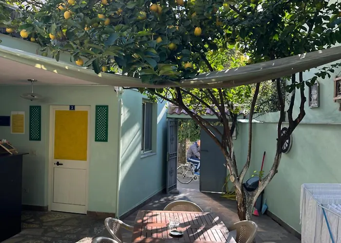 Lemon Breeze تيرانا