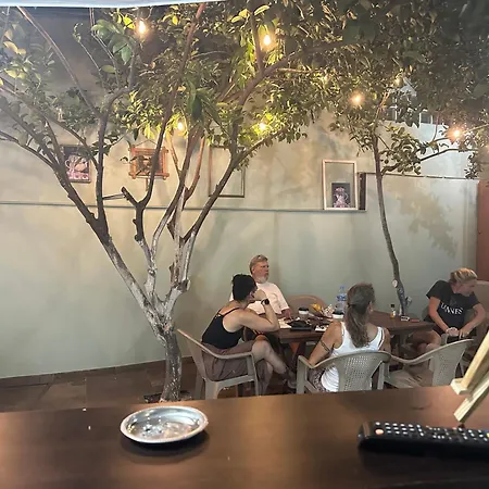 Lemon Breeze Tirana
